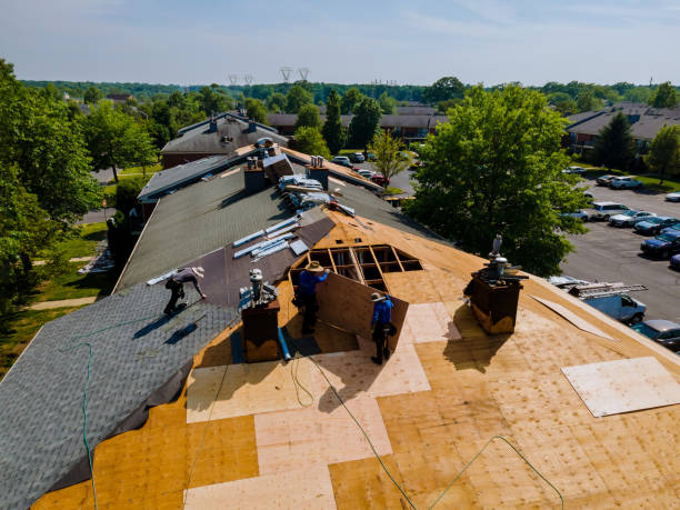 Best Flat Roof Repair Services  in Alma, AR