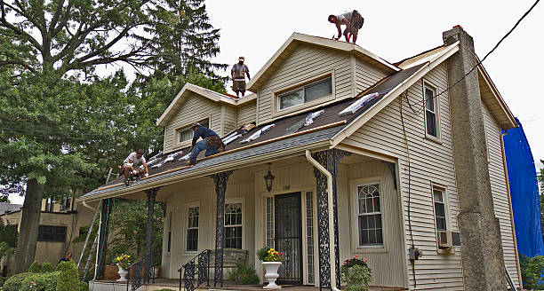 Best Roof Gutter Cleaning  in Alma, AR